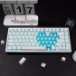 Black White Rose 131+21 PBT Dye-subbed PC Crystal Clear Backlit Cool Keycaps Set Screen Printing Doubleshot Side Legends